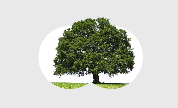 Ein Baum steht für Stärke Gontermann-Peipers Leitbild